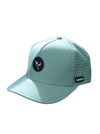 Vertex - 5 Panel